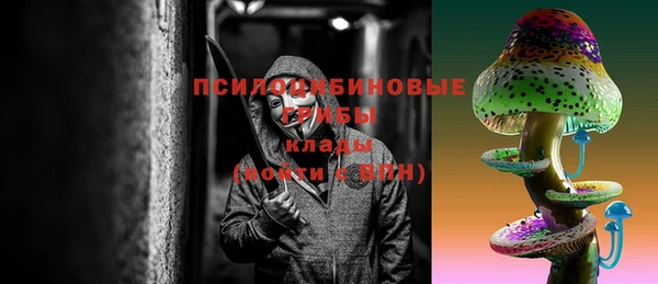 СК Арсеньев