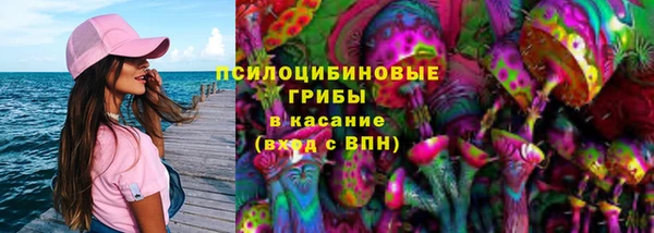 мет Алексин