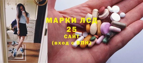 мет Алексин