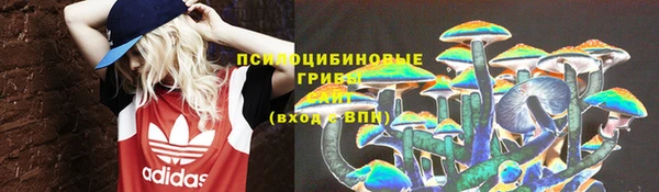 мет Алексин