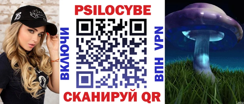 Псилоцибиновые грибы Psilocybe  Учалы 